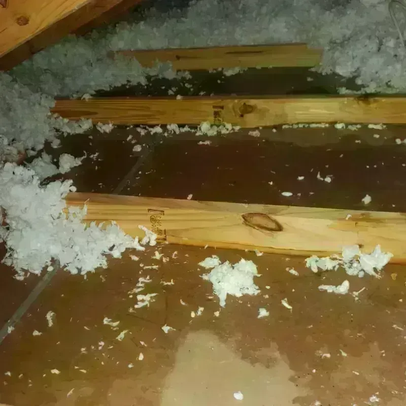 Attic Water Damage in Lynden, WA